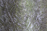 Kilwinning fibreglass roof work